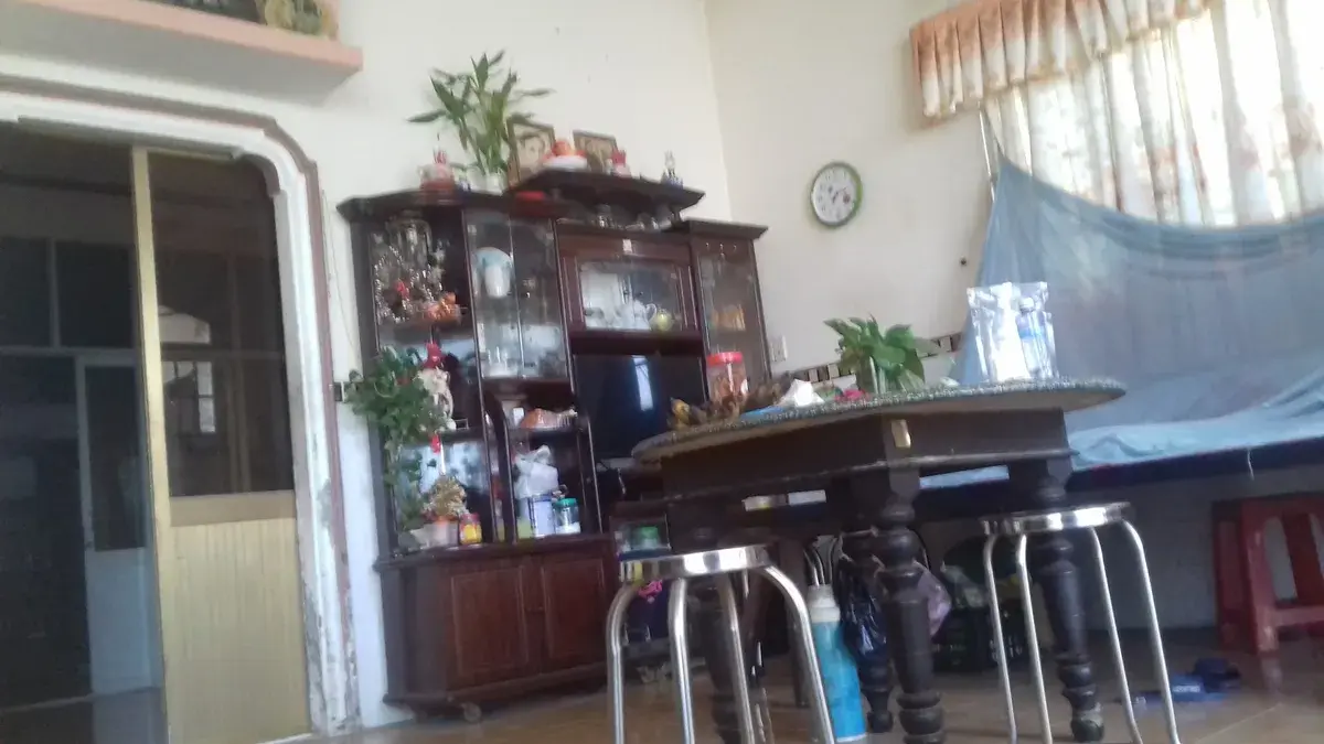 Hình ảnh shop Hamster, Thức ăn Thú cưng Đậu Xinh