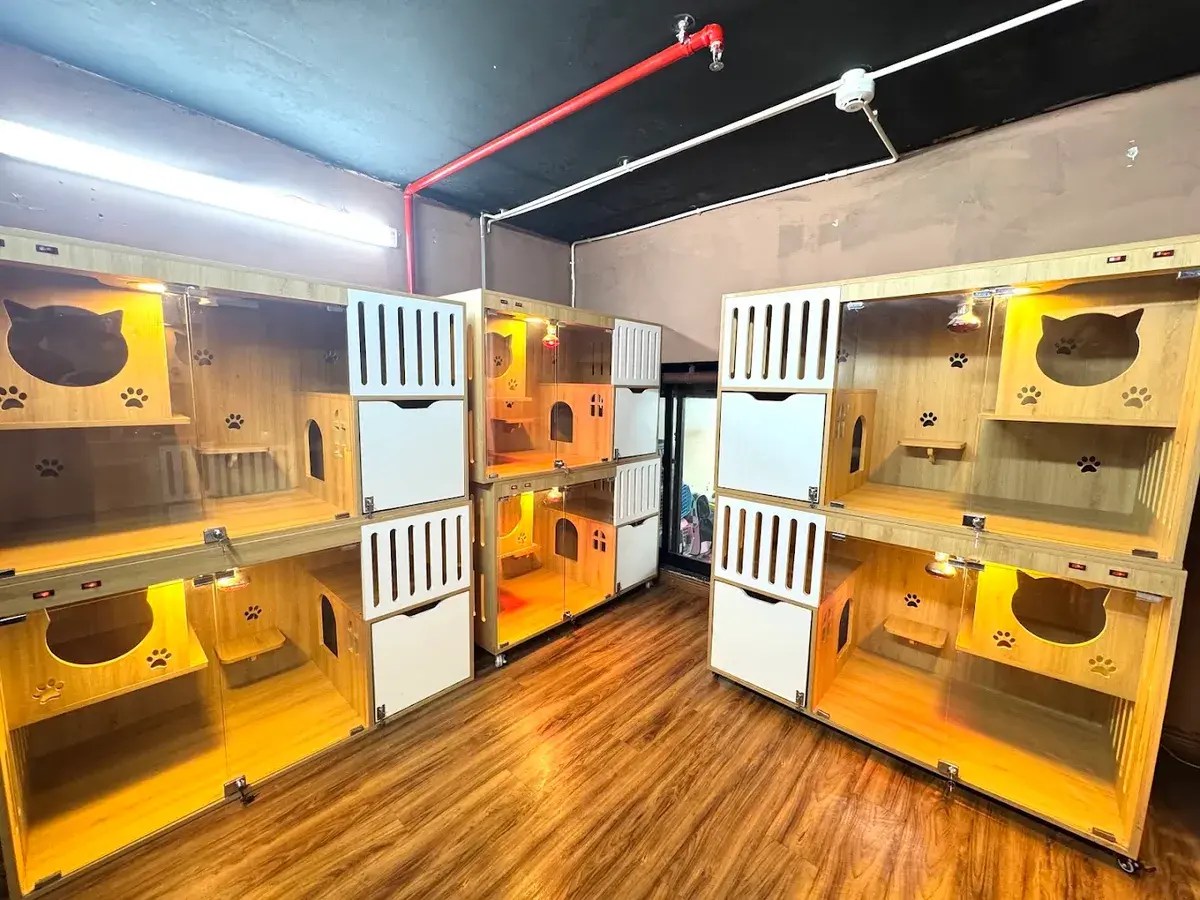 Hình ảnh Sơn Tùng Pet Shop - Siêu thị và khách sạn thú cưng
