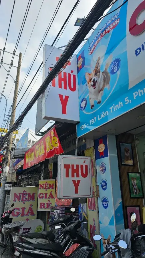 Hình ảnh Spa Cún Miu 195 Liên Tỉnh 5