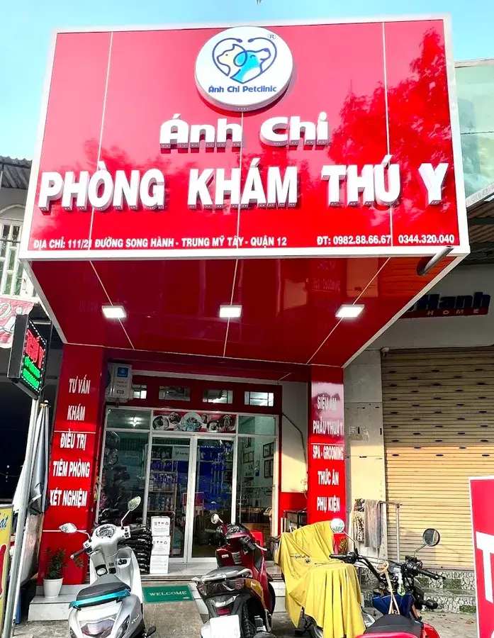 Hình ảnh THÚ Y ÁNH CHI
