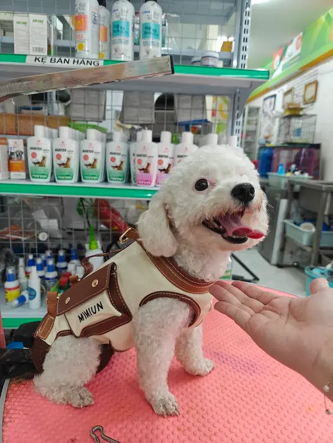 Hình ảnh Thú Y Gò Vấp