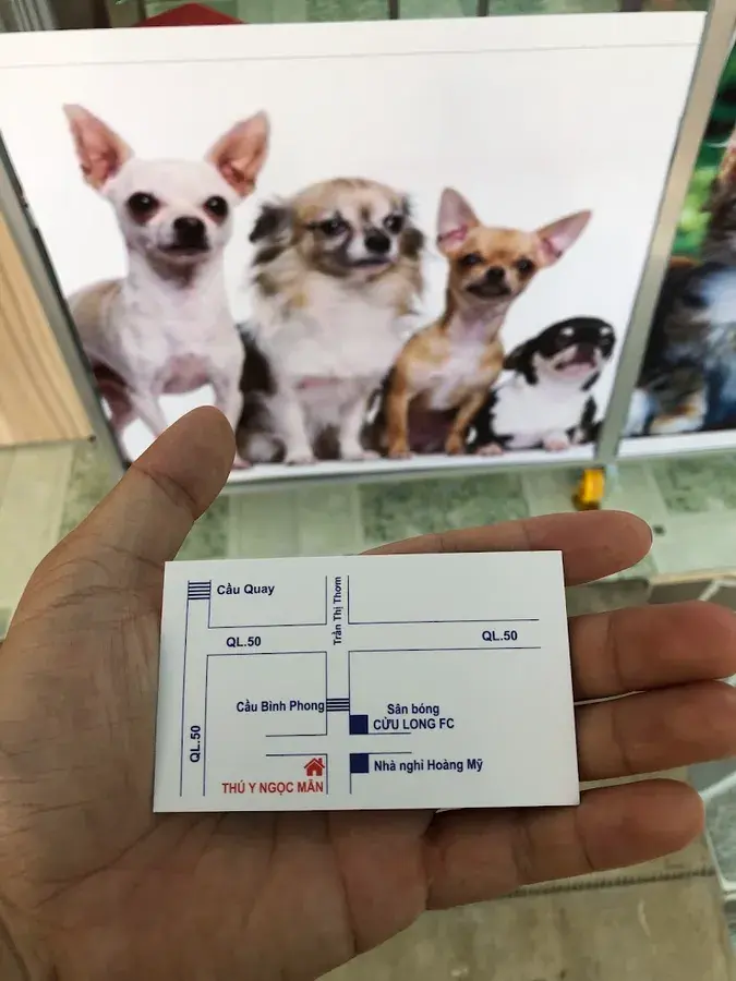 Hình ảnh Thú Y Ngọc Mẫn