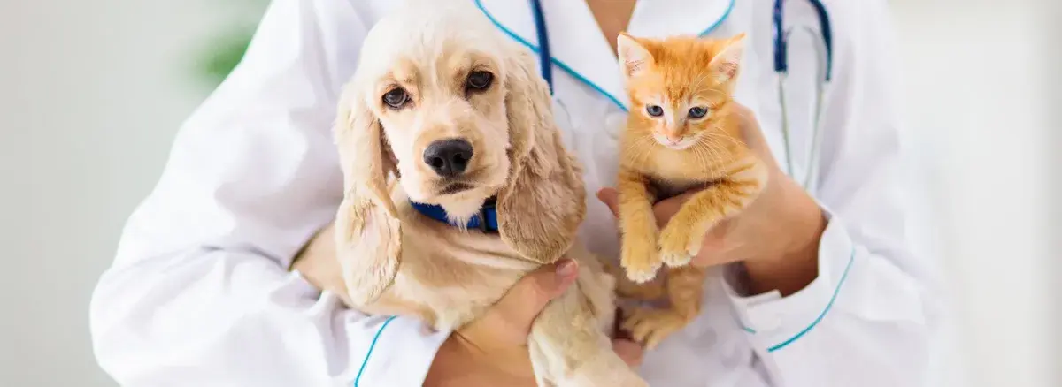 Hình ảnh Thú y PETLAND