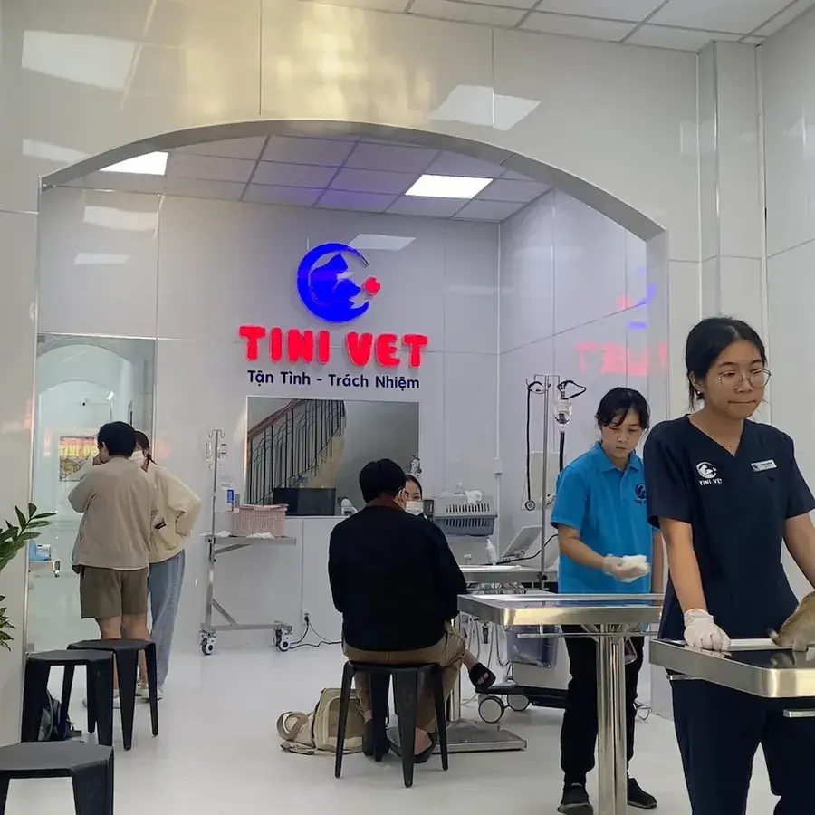 Hình ảnh Thú Y Tini Vet